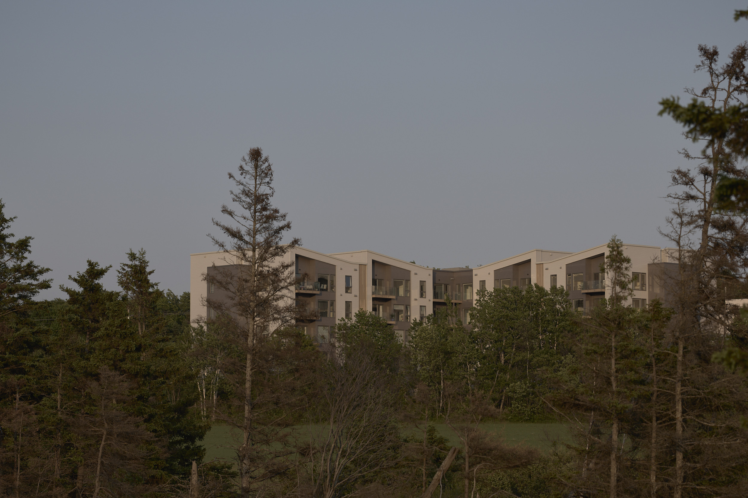TRAILSIDE NORTH | OPENPRACTICE